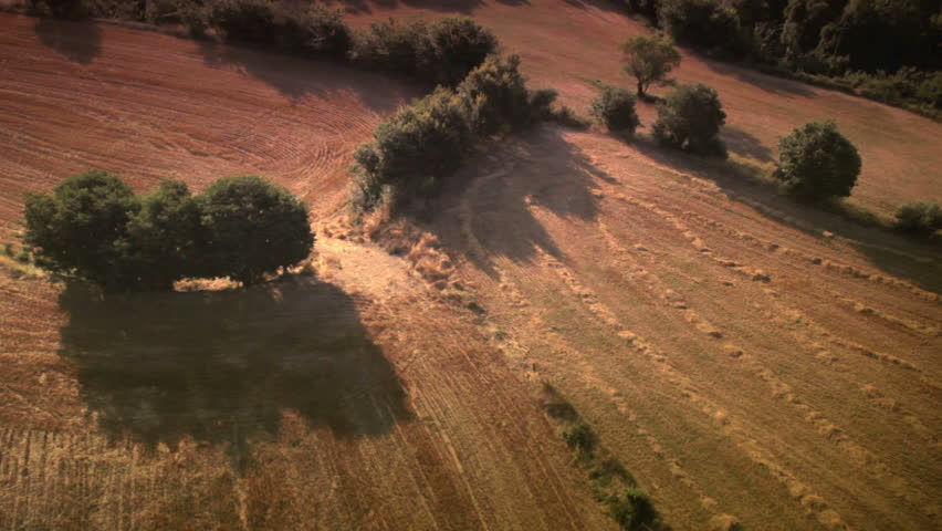 Aerial shot of corn fields and countryside