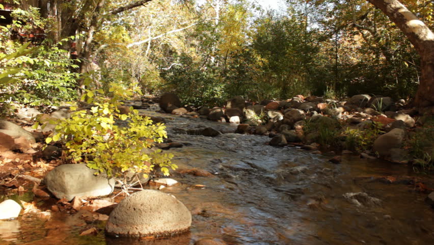 The chilly, autumn waters of Oak Creek rush past as the fall colors reflect in the stream in Sedona, Arizona.