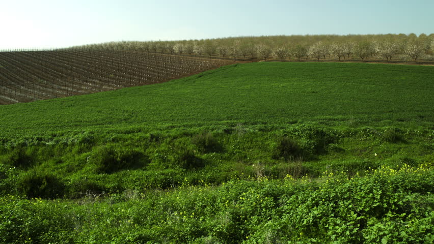 the mountain top, in the Mount Tabor region of Israel. 