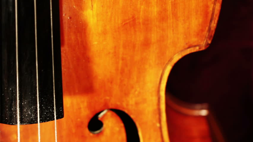 Musician and Double Bass playing
