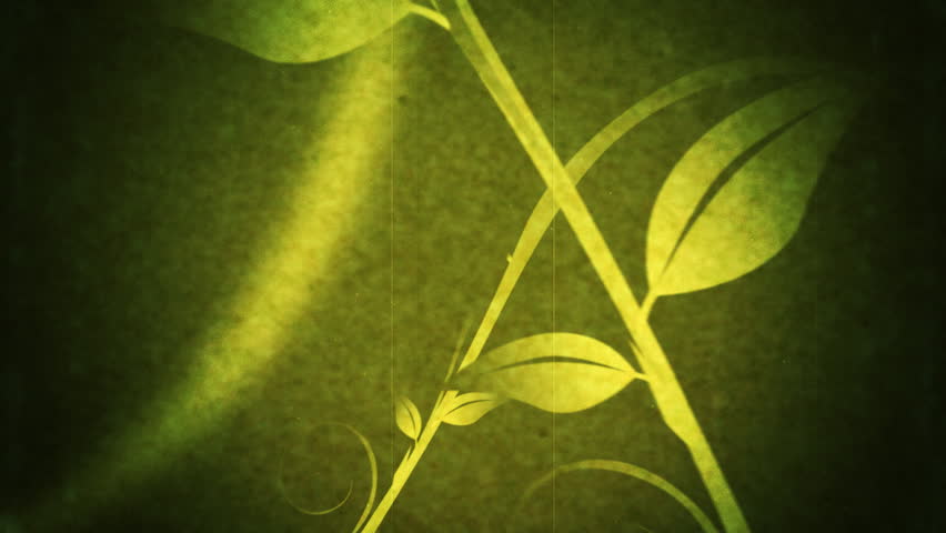 Vines and Leaves Growing Grunge Flourish