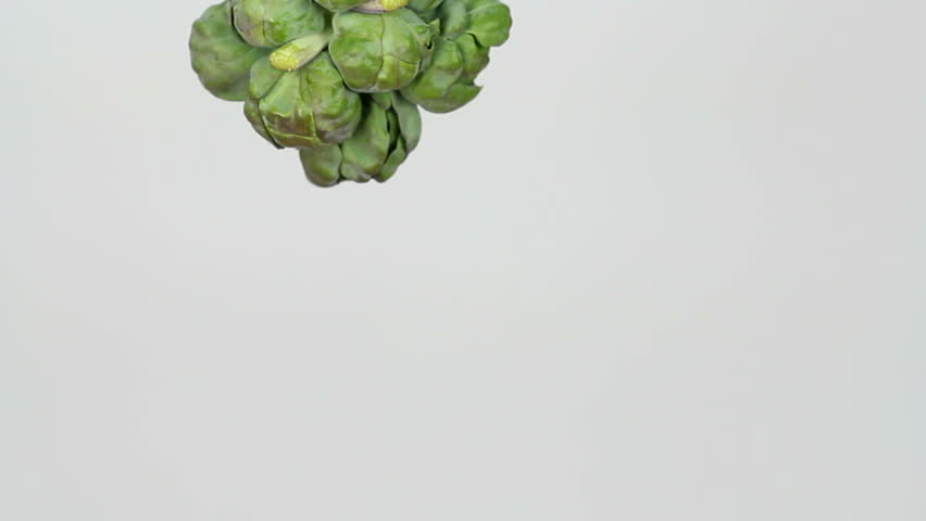 Hanging brussel sprout stalk rotates downward, twirls against white background. 1080p