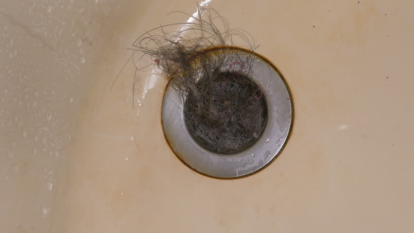 Image result for Hair in plughole