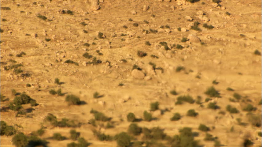 Static shot of heat haze effect in desert. Real footage.