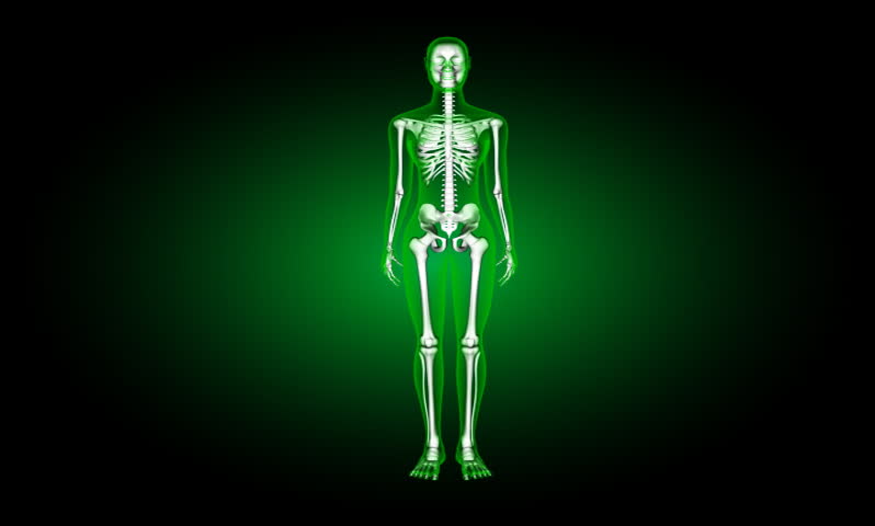 footage of a female human skeleton