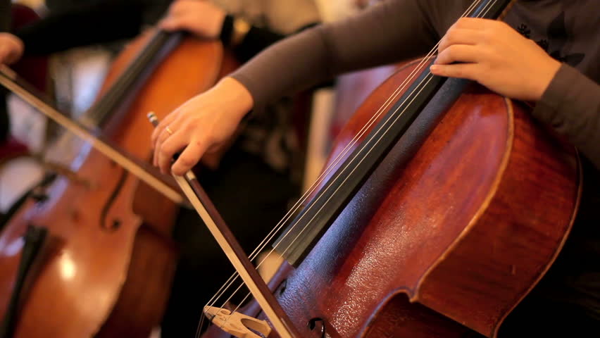 Several cellist playing on cello in the orchestra (rehearsal).