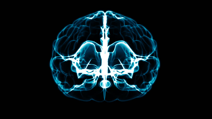 3D rotating brain x ray HD
