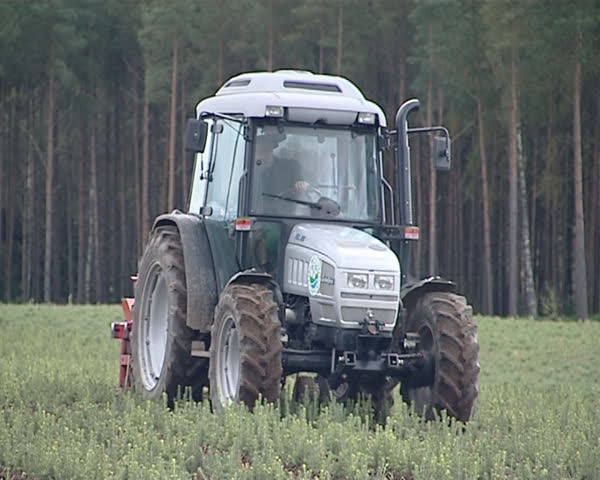Tractor plow up fir spruce tree seedlings. Forest planting industry. 