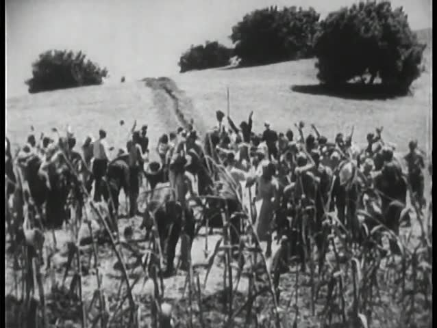 Crowd cheering as water flows down man made stream