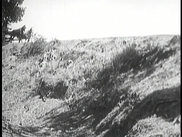 Covered wagon falling down hill