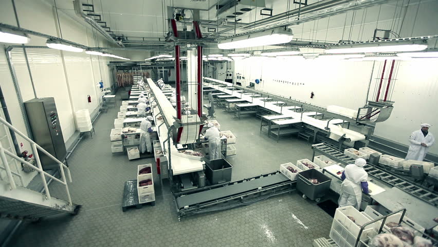 Processing of meat production