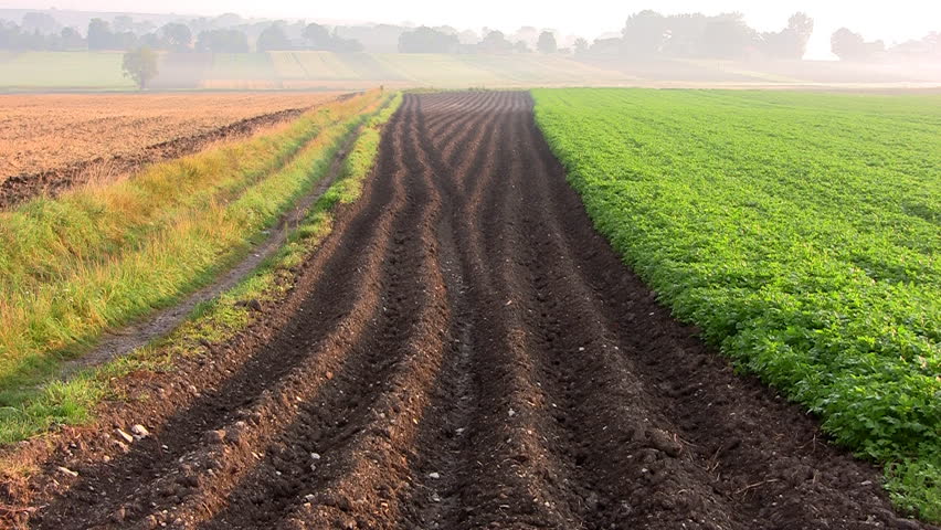 Zoom to plowed soil