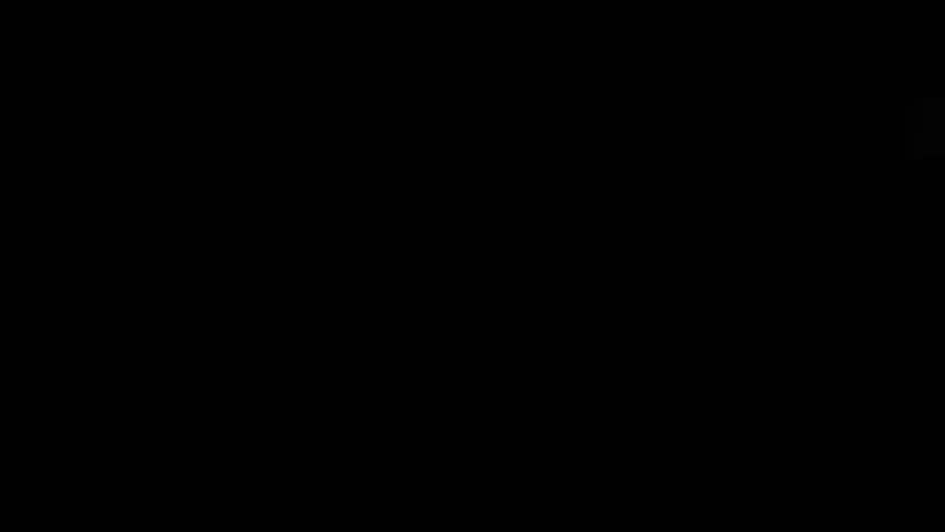 3d dynamic ribbon, HD1080p