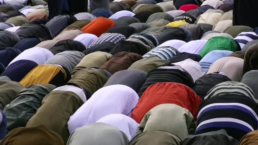 CAIRO, EGYPT - NOV 19: Muslim protesters pray in Tahrir Square on November 19, 2011. Behind of them there are more demonstrators.