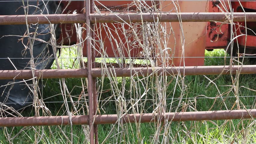 Breezy Dried Grass Fence Part Of Tractor Showing