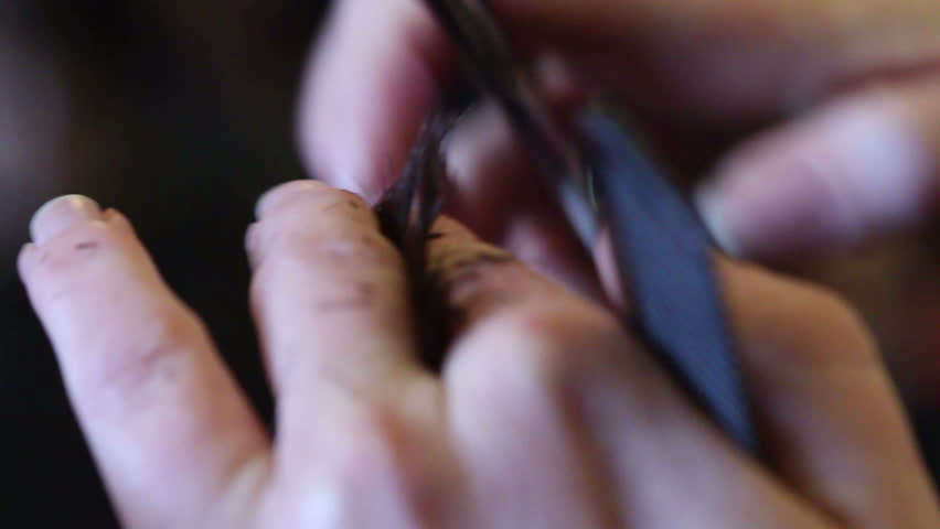 Hair Being Trimmed 04
