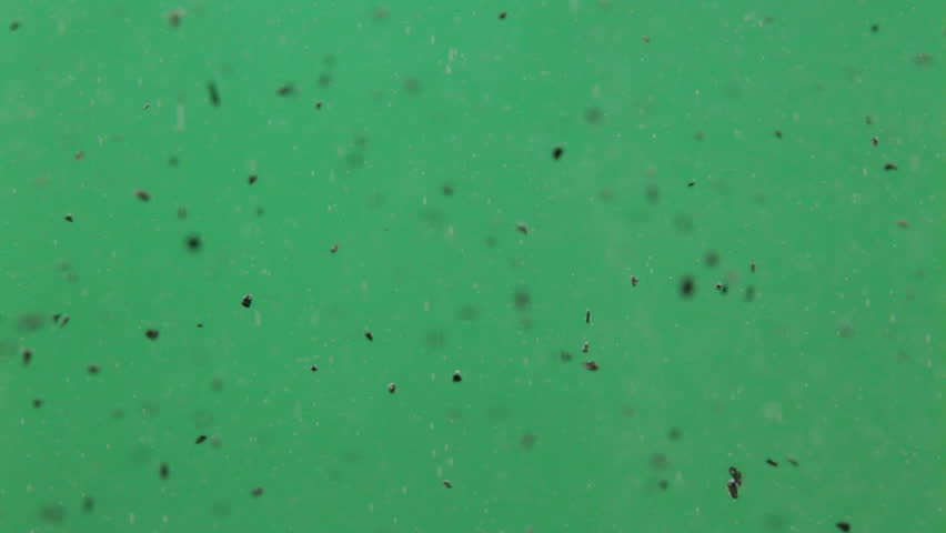 Macro video of activated carbon powder (also called activated coal or activated charcoal) slowly floating in  water with the bubbles of air released by the granules, against a green background.