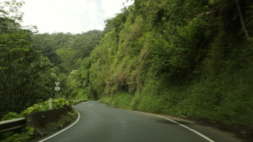 Car POV driving on Hana Highway, Maui, Hawaii. Also known as the Road to Hana, the highway is famous for its slow, curving route through dense foliage.