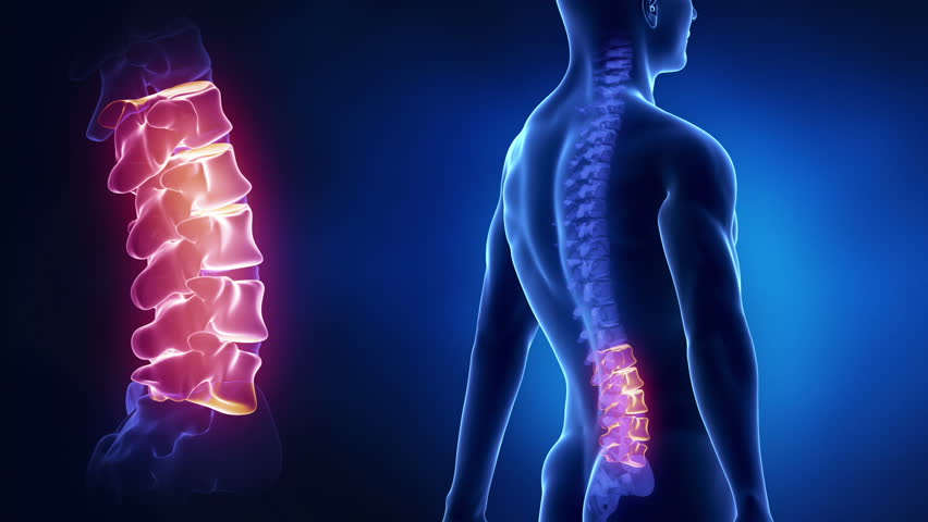 Focused on spine LUMBAR region in loop