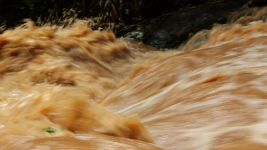 Mud and water pouring down a jungle watercourse after very heavy rain. On the Pacific coast of Ecuador.