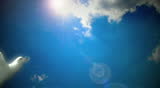 White dove flying in sky