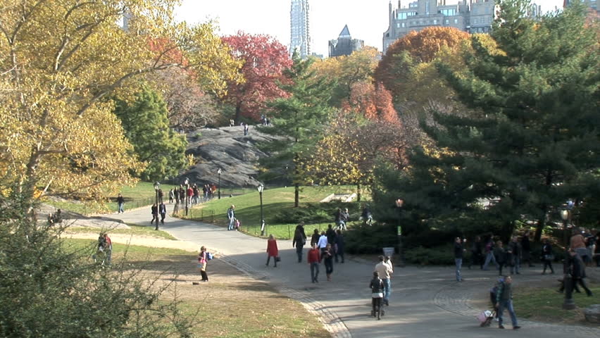 Central Park in Fall