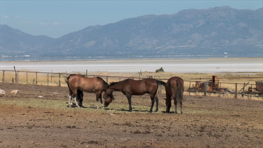 Antelope Island Park, UT