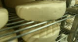 Blue cheese gouda Factory food process