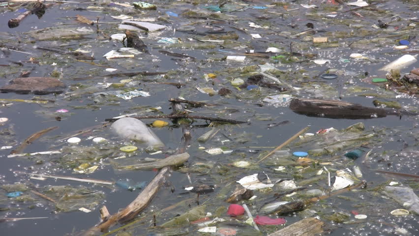 Garbage floating in the lake.