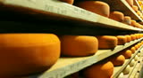 Blue cheese gouda Factory food process parmesan swiss dairy feta france milk
