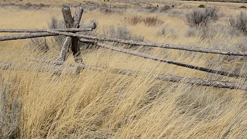 Wind blowing weeds and grass by old log fence
