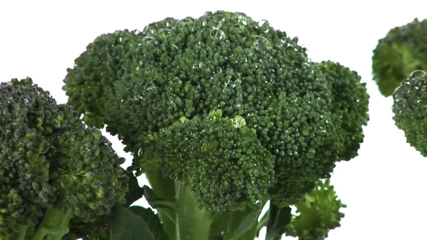 Broccoli florets standing up