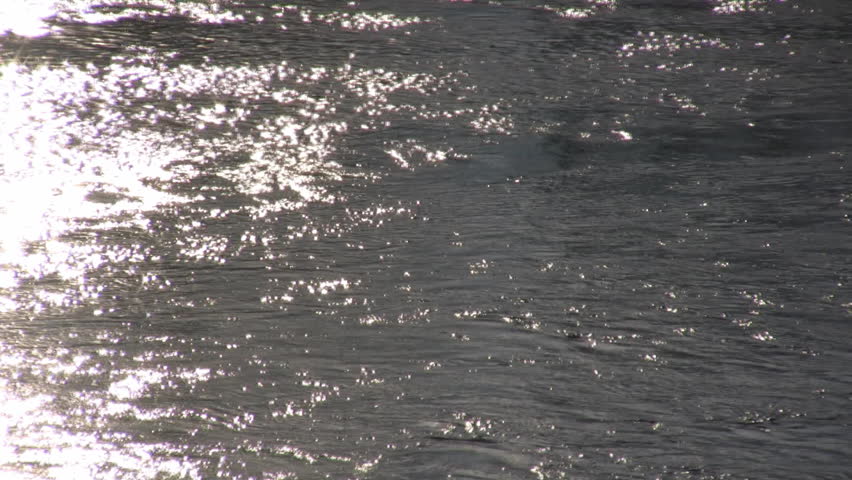 Sunlight reflects and glitters off of the calm flowing water. (High Definition)