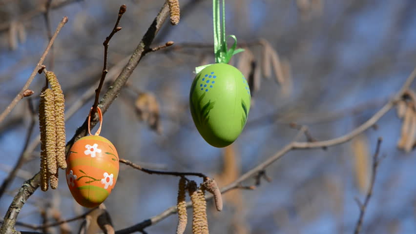 nut wood catkins and hanging easter eggs in the spring wind