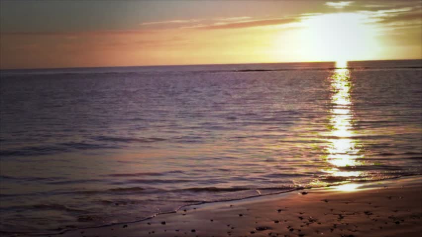 Birds in in sky sunset by ocean