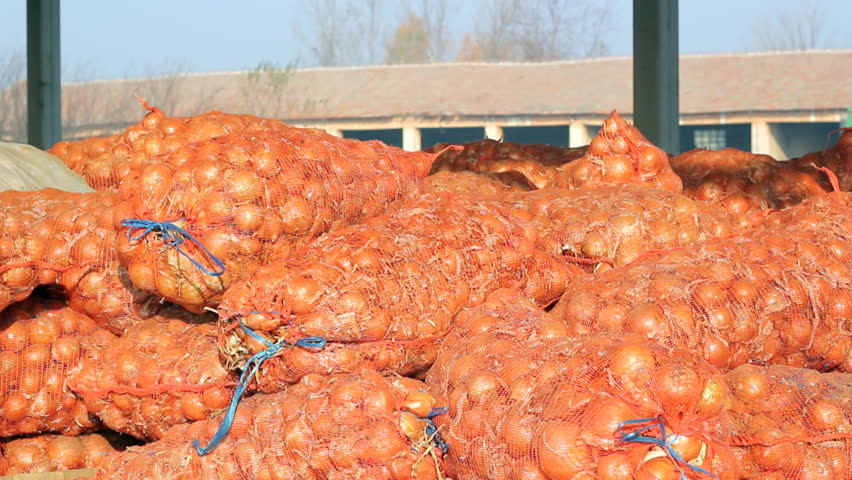 Young farmer carrying a sack of onions in the warehouse. HD1080p.