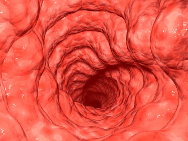 Computer-generated 3D animation loop depicting an orifice