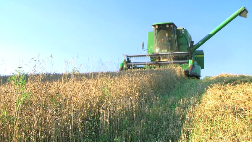 Farmer Combining Wheat 