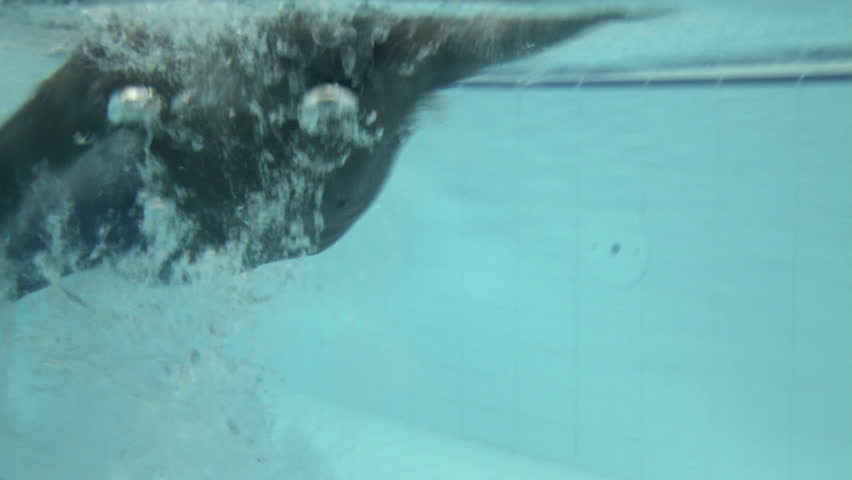 Male swimming in swimming pool in gym
