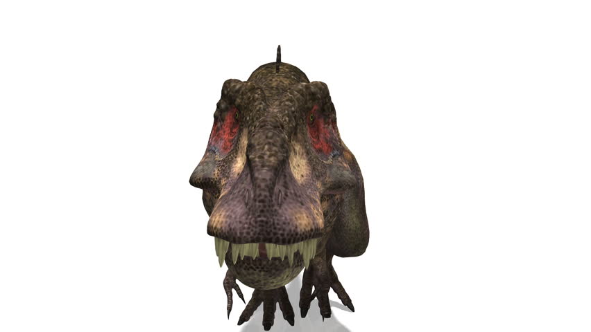 dinosaur