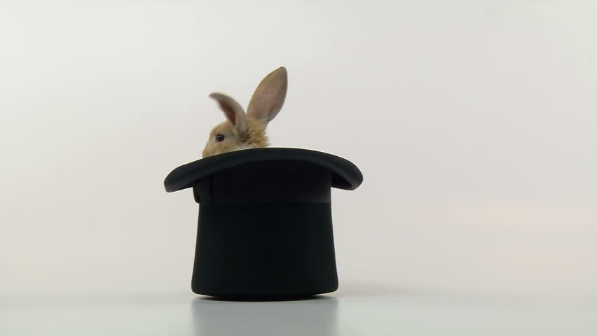 Bunny in a Top Hat, jumps out.