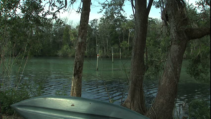 Manatee fence prevents escaping the park