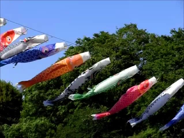 carp streamer(slow motion) 
