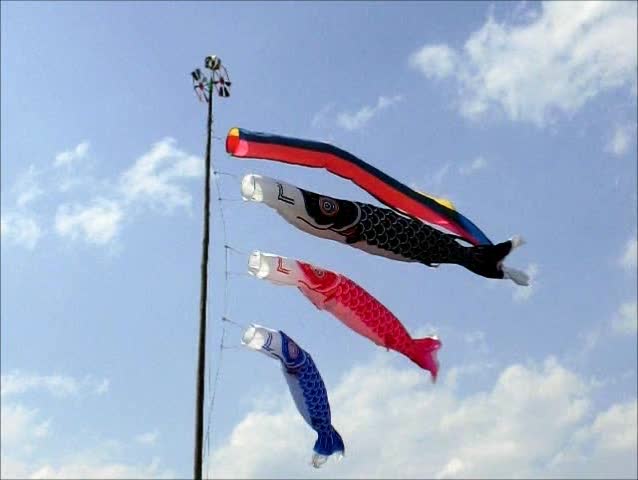 carp streamer (slow motion) 
