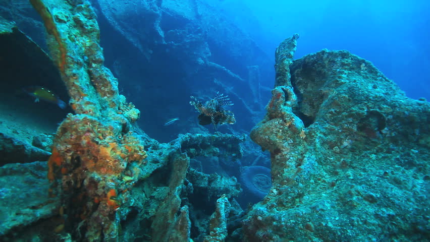 lion fish at the ship wreck of Thistlegorm