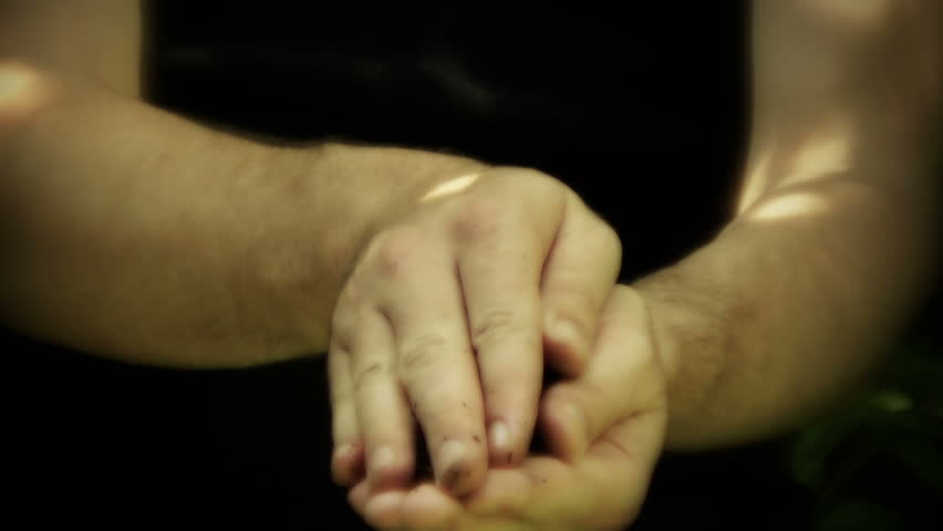 Hand holding growing seedling