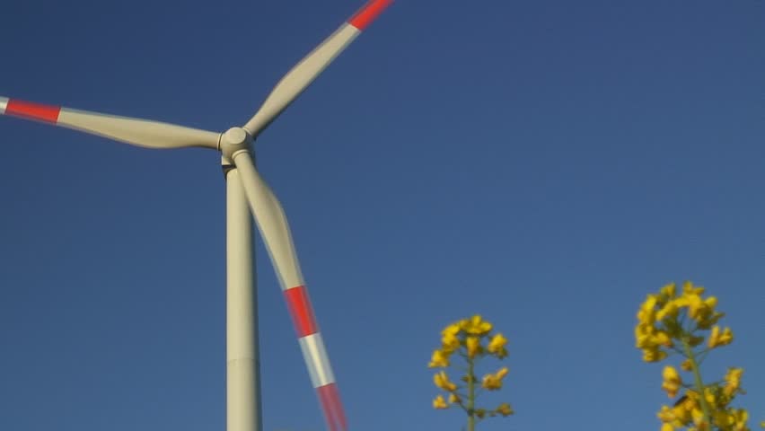HD 1080i: Rotating wind turbine behind blossoms of oilseed rape