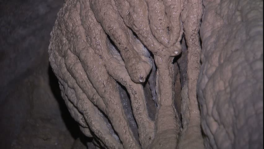 dripping stalactites and multiple columns, small columns formed from the dripping in Carter Cave Kentucky