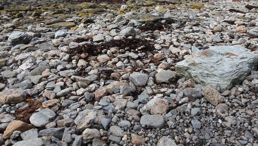 National Park in Ushuaia in Tierra del Fuego