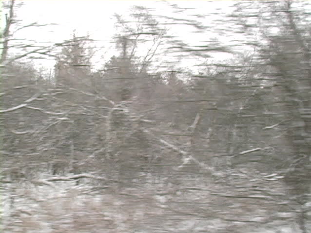 Side window view of woods and farm land during drive through a remote area
